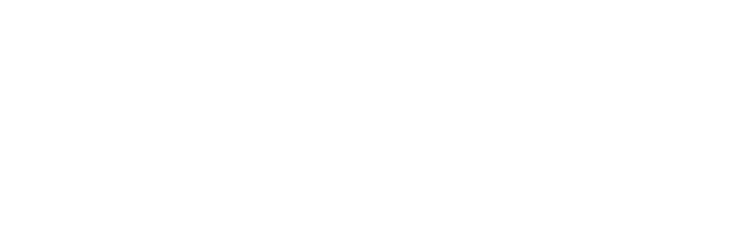 Emporium Guitars